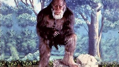 回到野人沙滩,探寻原始自然的神秘之旅