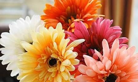 拨开云雾见福星农家小福星,农家小福星的温馨故事