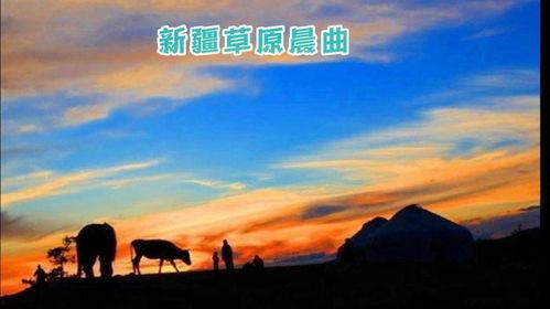 阿勒泰之歌,探寻丝绸之路上的自然与人文交响